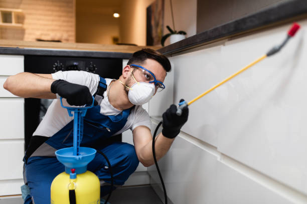 Pest Control Cost in Rossville, MD