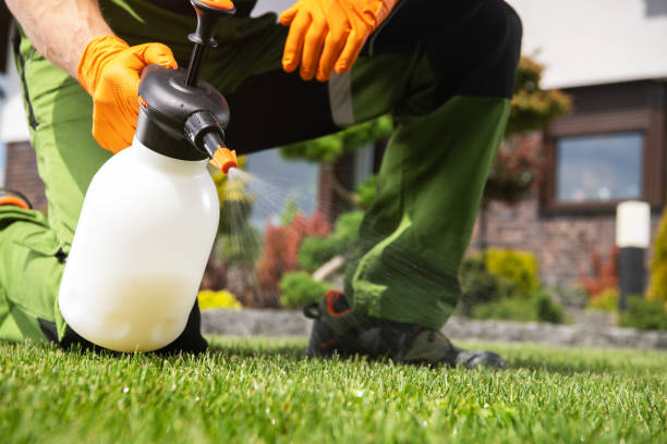 Best Rat Extermination Near Me  in Rossville, MD