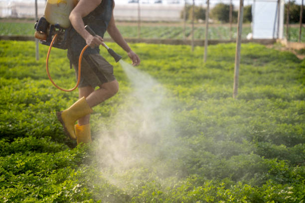 Best Residential Pest Control  in Rossville, MD