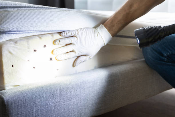 Best Wildlife Control Services  in Rossville, MD