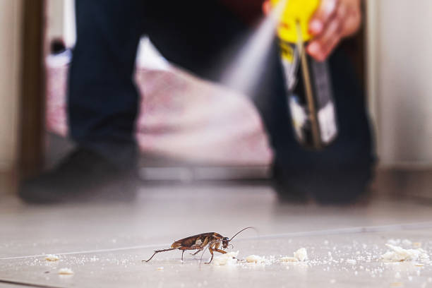 Pest Prevention Services in Rossville, MD