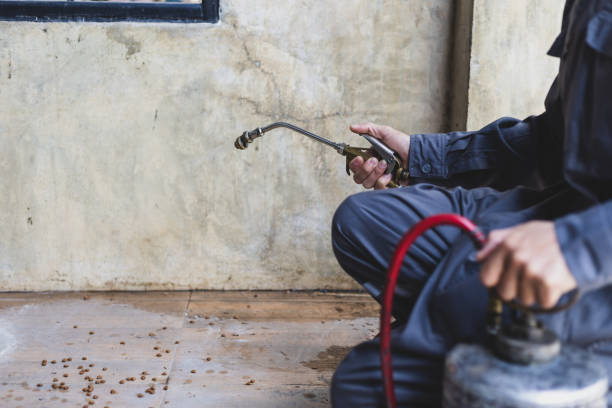 Best Flea Control Services  in Rossville, MD